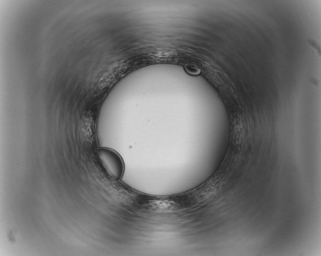 X0000100870654200807071104