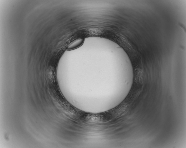 X0000100870655200807071104