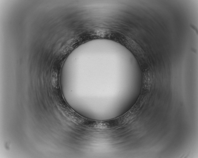 X0000100870656200807071104