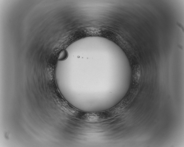 X0000100870658200807071104