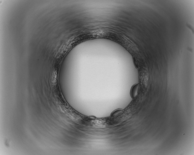 X0000100870660200807071104