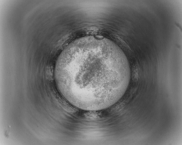 X0000100870661200807071104