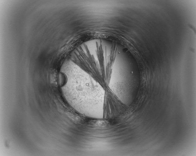 X0000100870663200807071104