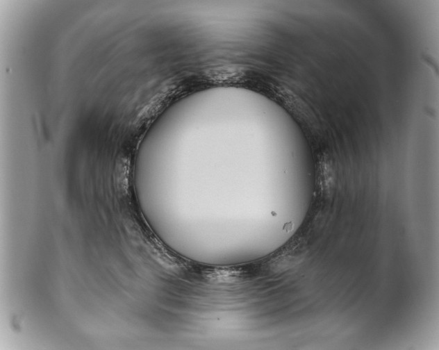 X0000100870664200807071104