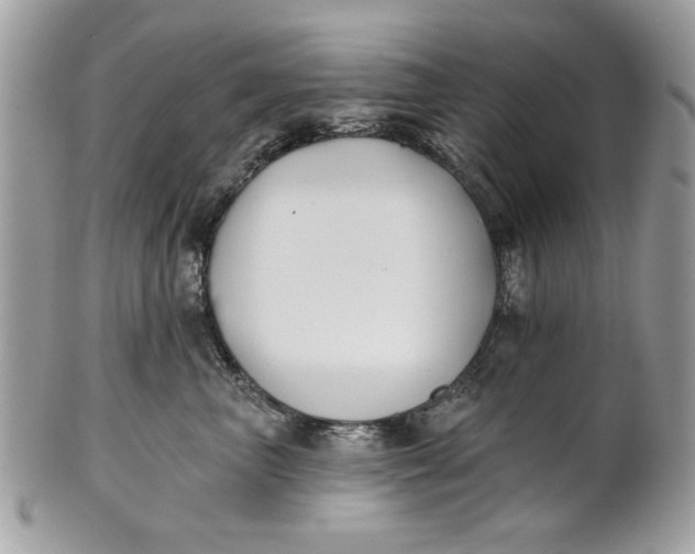 X0000100870667200807071104