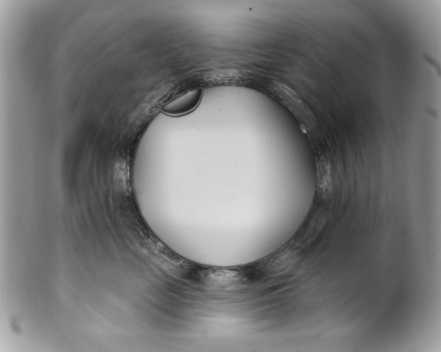 X0000100870669200807071104