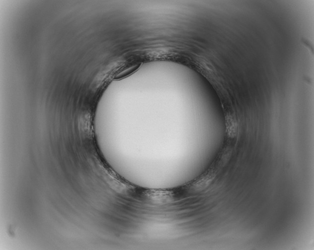 X0000100870670200807071104