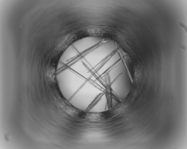 X0000100870671200807071104