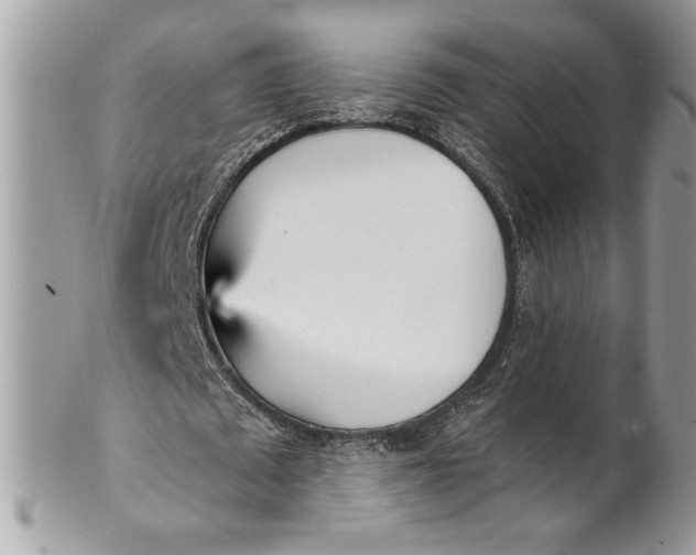 X0000100870673200807071103