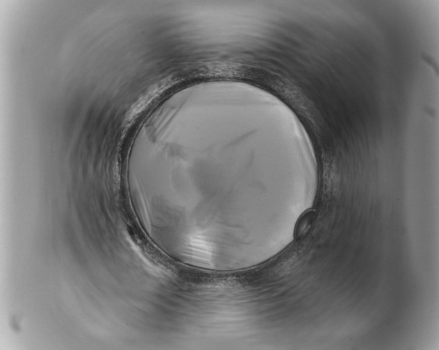 X0000100870674200807071103