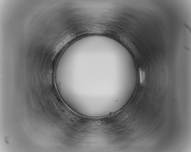 X0000100870675200807071103