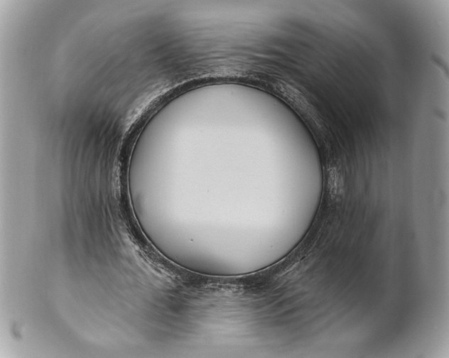 X0000100870676200807071103