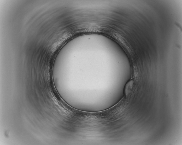 X0000100870677200807071103