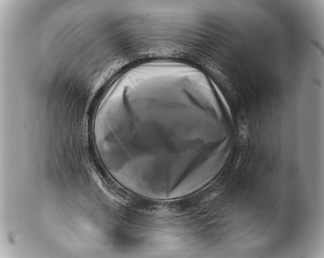 X0000100870678200807071103