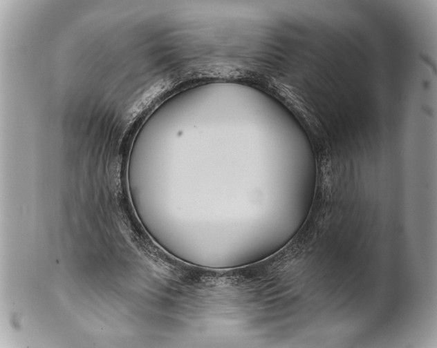 X0000100870679200807071103