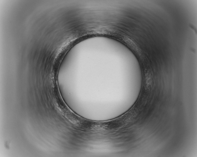 X0000100870680200807071103