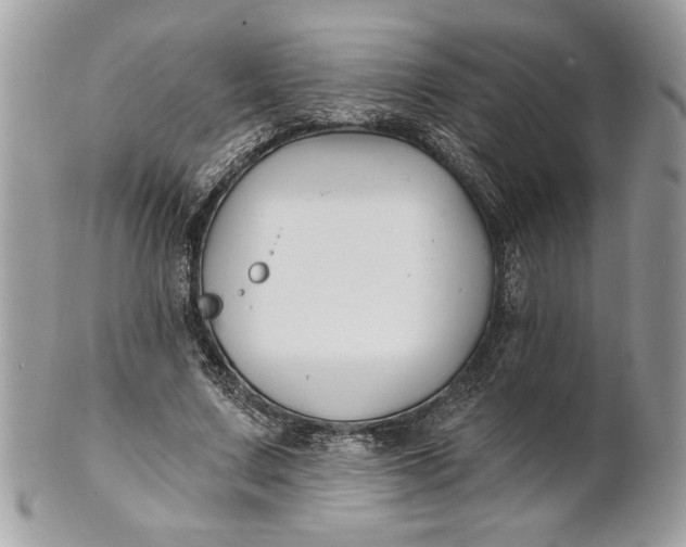 X0000100870683200807071103