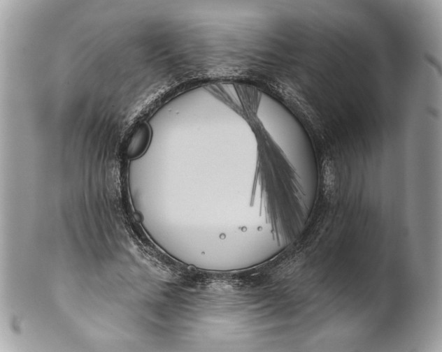 X0000100870684200807071103