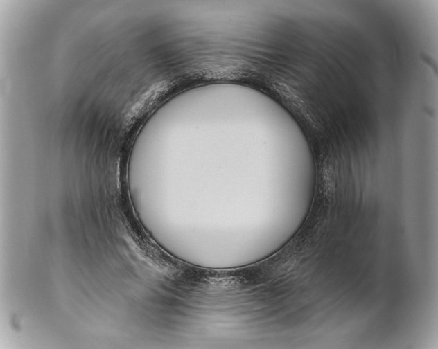 X0000100870686200807071103