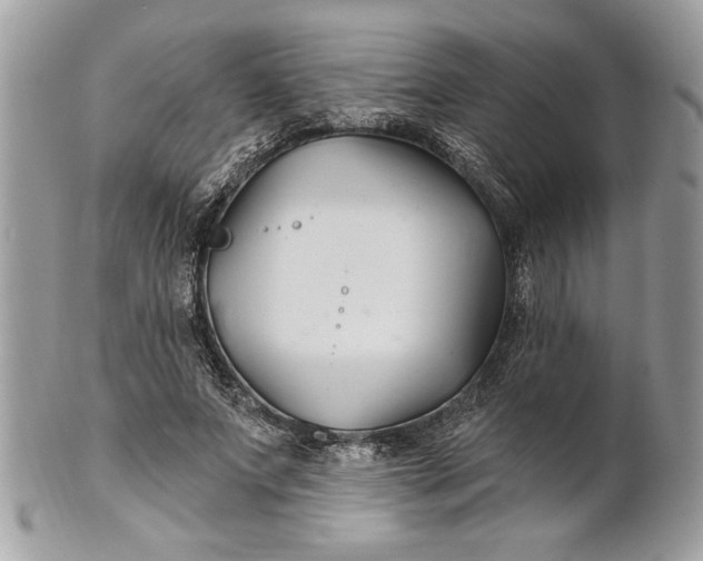 X0000100870687200807071103