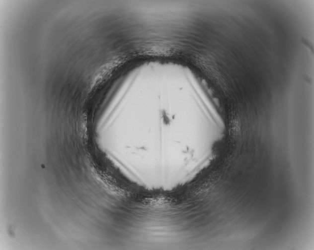 X0000100870688200807071103