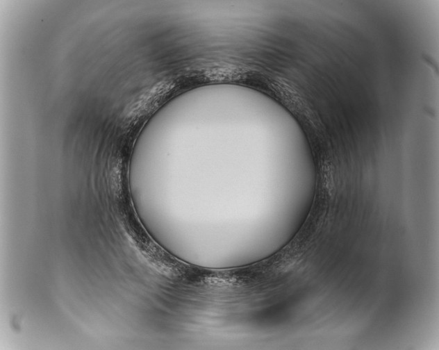 X0000100870690200807071103