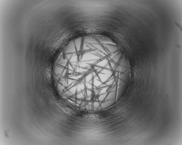 X0000100870691200807071103