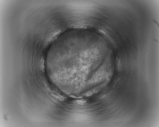 X0000100870692200807071103