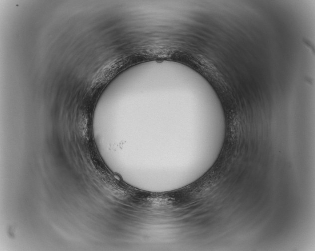 X0000100870693200807071103