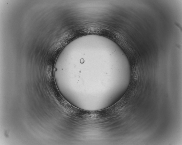 X0000100870695200807071103