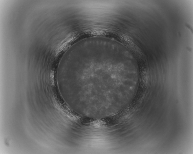 X0000100870696200807071103