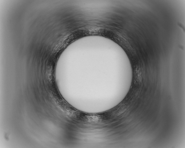 X0000100870698200807071103