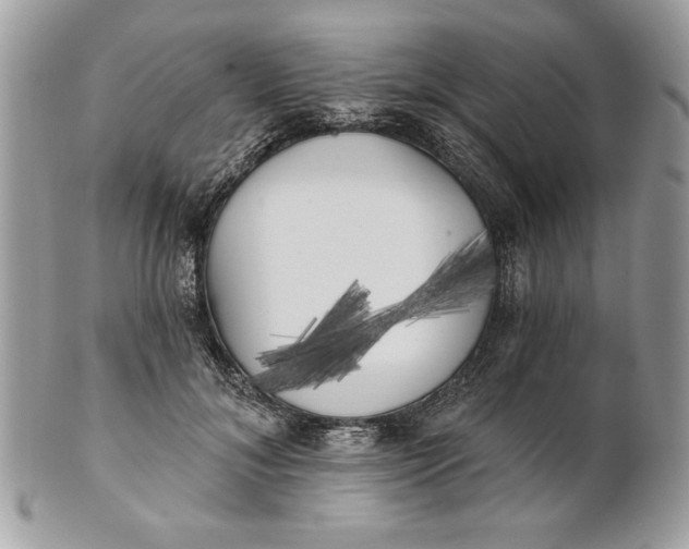 X0000100870700200807071103