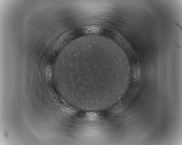 X0000100870701200807071103