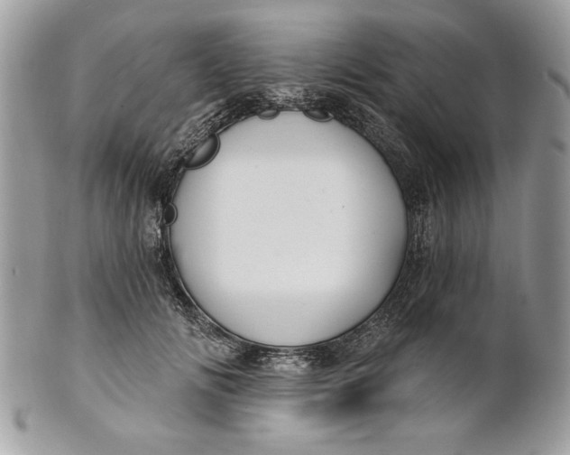 X0000100870702200807071103