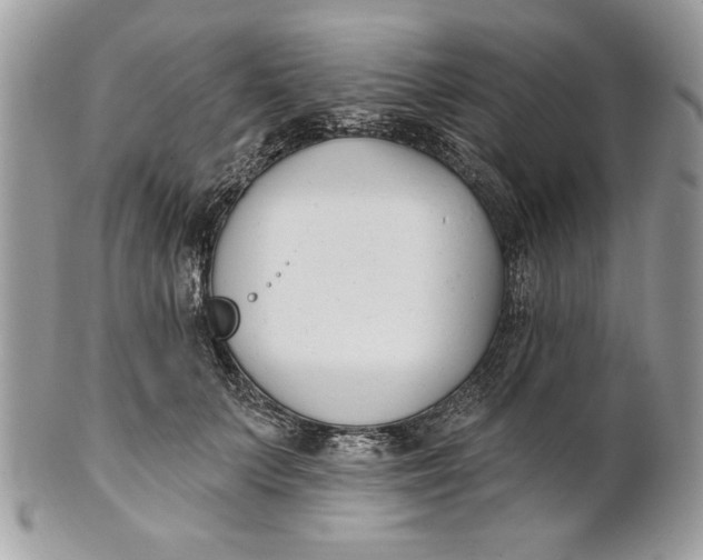 X0000100870703200807071103