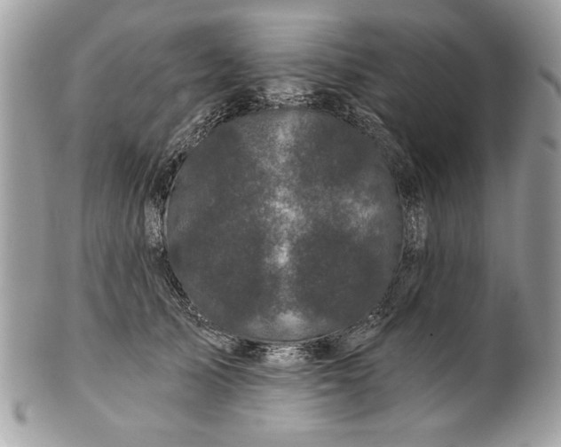 X0000100870705200807071103