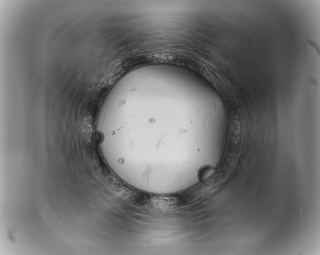 X0000100870707200807071103