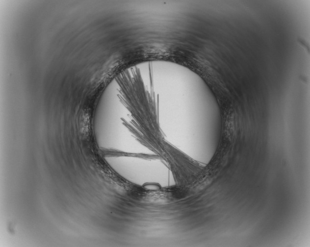 X0000100870708200807071103