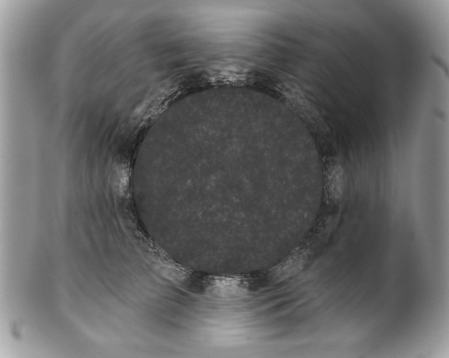 X0000100870709200807071103