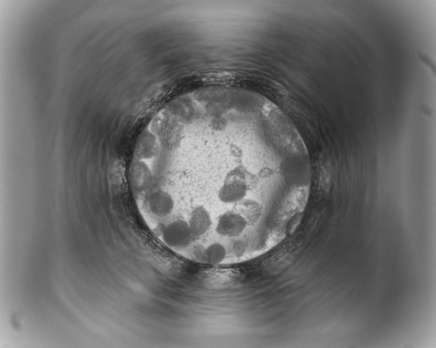 X0000100870711200807071103