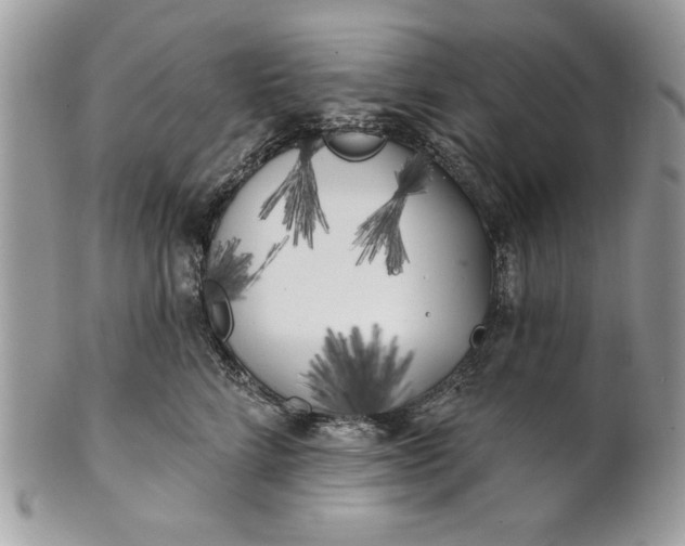 X0000100870712200807071103