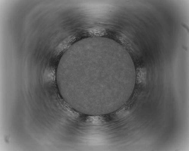 X0000100870713200807071103