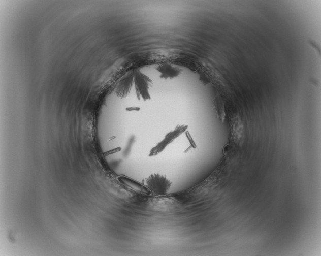 X0000100870716200807071103