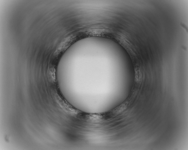 X0000100870718200807071103