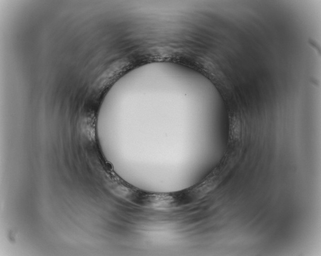 X0000100870719200807071103