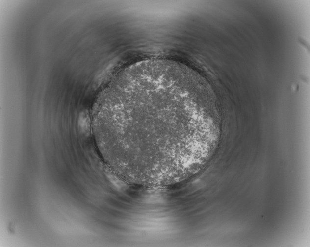 X0000100870720200807071102