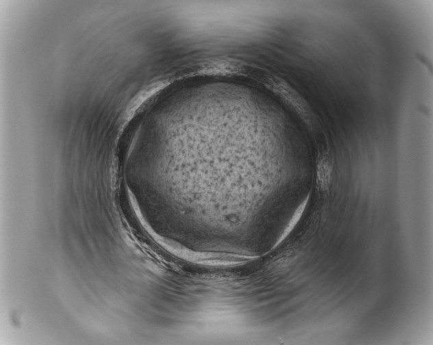 X0000100870724200807071102