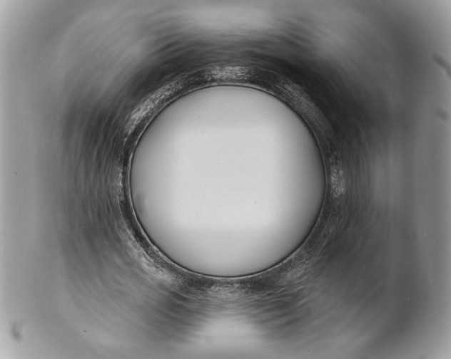 X0000100870725200807071102