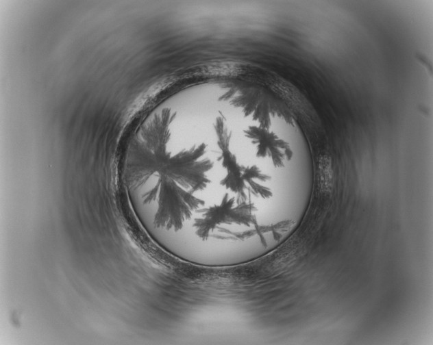 X0000100870726200807071102